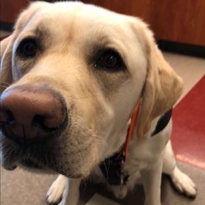 Meet your Posher, Kayla